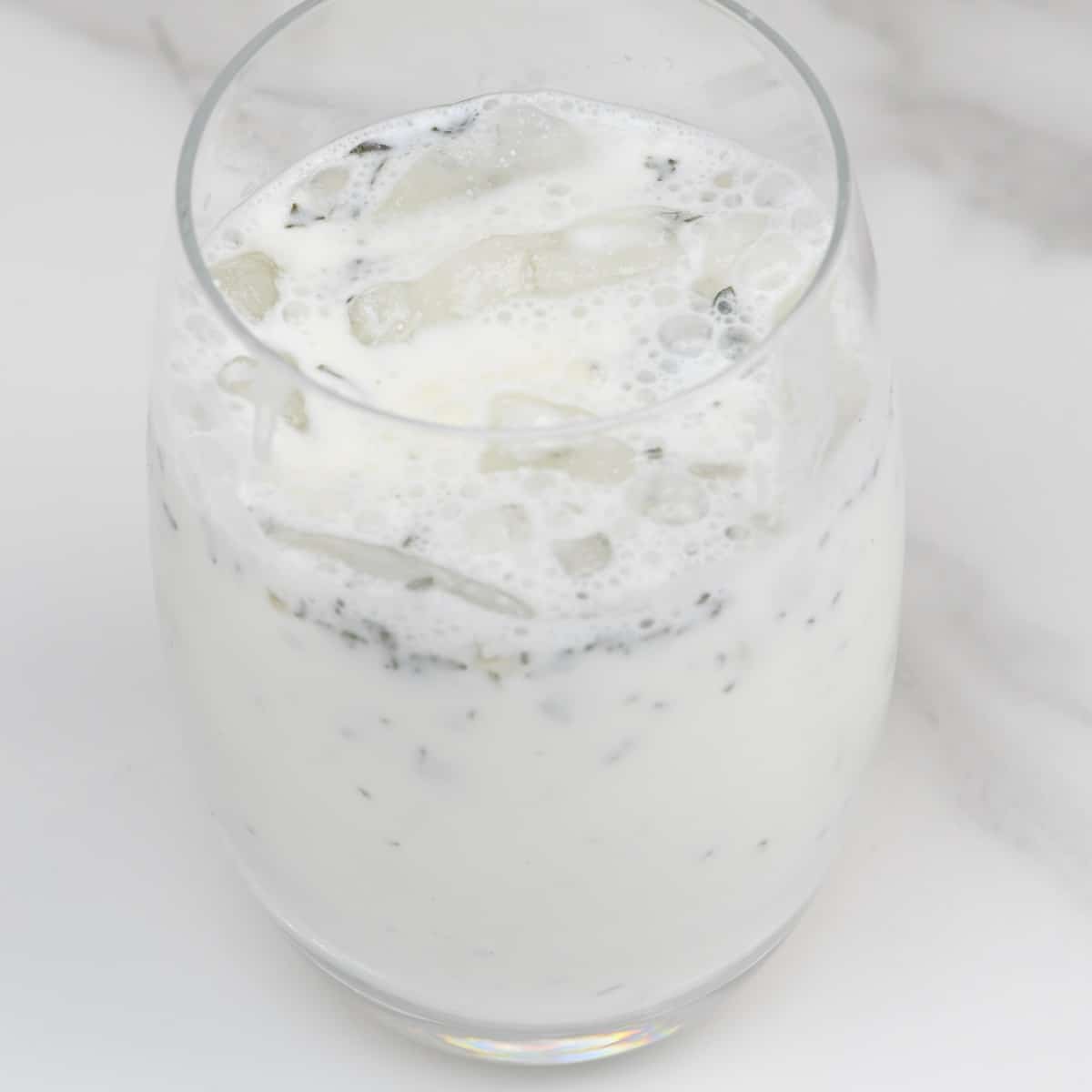 Beyond Sweet: Discover Ayran Doogh, The World's Savory Yogurt Drink